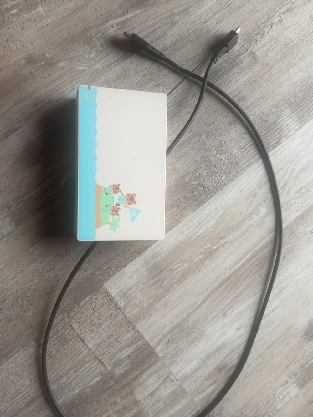 Nintendo Switch Animal Crossing Version